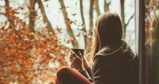 من هم مثل توام رفیق