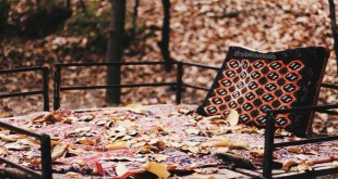 پاییز | رادیو چهرازی